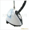 Garment steamer with Lovely Style
