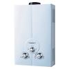 Gas Water Heater (Flue Type)