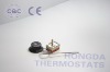 Gas fryer thermostats