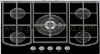 Gas stove Tempered Glass cooktops Gas Burner TY-BG5016