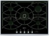 Gas stove Tempered Glass cooktops Gas Burner TY-BG5029