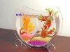 HaiQi fish tank