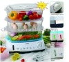 Healthy Food Steam Cooker