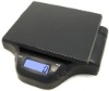 Hidden wire and display link digital postal scale