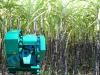 High efficiency stainless sugarcane making machine
