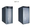 High quality wine fridge Suitable for home or hotel,HW-12