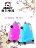 Maier Garment Steamer Iron with dual temperature