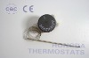 Mechanical capillary temperature sensor
