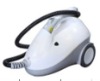 Multi-functional and high temperature steam cleaner