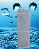 New shape, healthy water dispenser ,Hot selling, hot and cold water machine.Low noise ,low price.