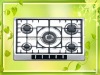 Newest Style Built-in Gas Stove