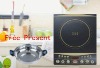 Newest design Induction cooker sell well-110V-F31