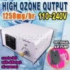 Ozone Generator 1250mg/h Purifier Drinking Water