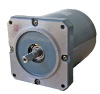 PM  Slow Synchronous Speed synchronous  Motors 110 TDY