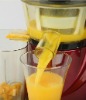Popular juicer (auto electric) with good looking