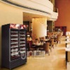 Restaurant Wine refrigerator/Hotel Wine cooler/Wine Chiller