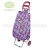 Shopping trolley bag with two wheels
