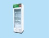 Single glass door refrigerator