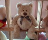 Stuffed Bear Toy