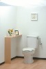 Toilet ceramictoilet hygienictoilet ceramic toilet hygienic toilet