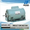 Two Speed Air Cooler Electric Fan Motor