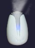 Ultrasonic Humidifier(Ultrasonic Anion Humidifier,Ultrasonic aromatherapy atomizer)