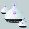 Vase Humidifier with aroma