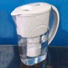 Water purifier filter
