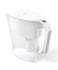 Water purifier kettle
