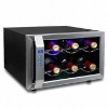 Wine Cooler with Thermoelectric Cooling System