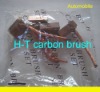 carbon brush