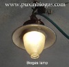 economical biogas lamps