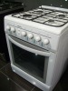 gas oven, electrical oven, mixed(gas&elc) oven, gas cooker, electrical cooker, electrical instant water heater
