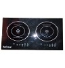 induction cooker double