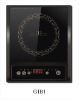 lower price induction cooker B1