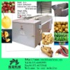 multifunction fruit cleaning machine