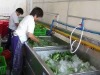 multifunction vegetable cleaner