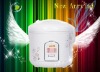 national rice cooker