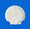 plastic Shell-shaped plate