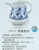 porcelain electric kettle