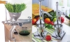 stainless steel Wheat grass juicer