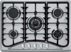 stainless steel built in gas cooker (WG-IT5025)