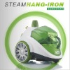 steamer iron