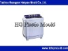 supply high quality Twin tub washing machine mould