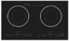 the commercial induction cooker with two burner