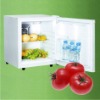 themoelectric mini refrigerator
