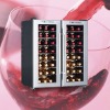 thermoelectric wine cellar