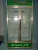 upright showcase,showcase,freezer,chest freezer,refrigerator